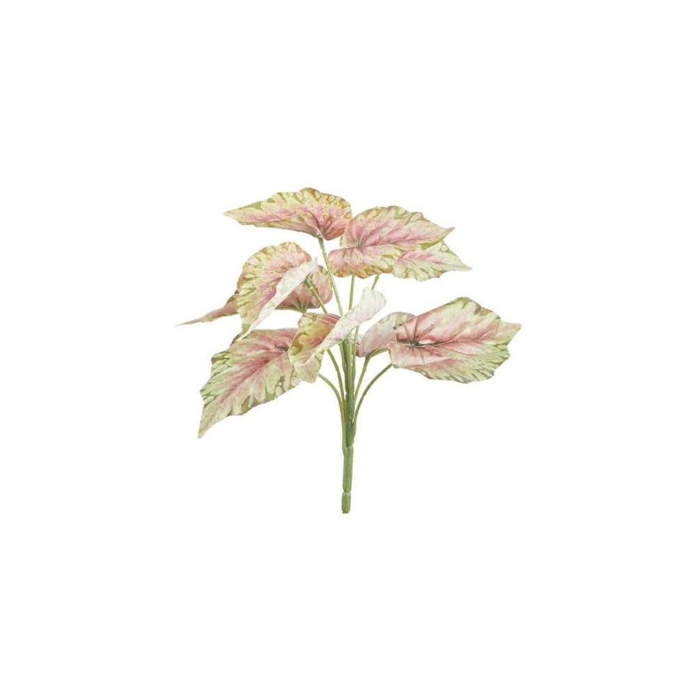 CIUFFO CALADIUM X9 27CM